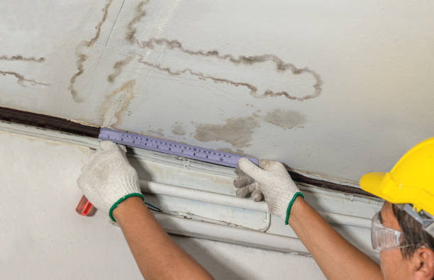 Reliable Mold Remediation contractor in Fayetteville, WV by Water Damage Irwin